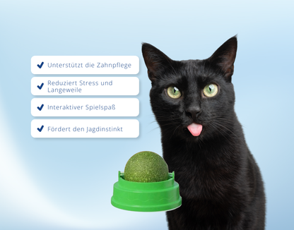 Katzen Leck Kugel Ball Katzenminze Leckenball Spielzeug Katze Gesundheit