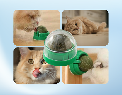 Katzen Leck Kugel Ball Katzenminze Leckenball Spielzeug Katze Gesundheit