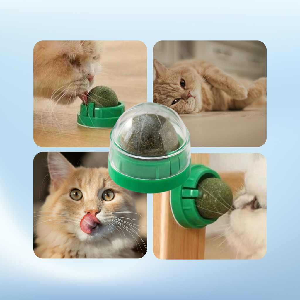 Katzenminze Ball für Katzen – selbstklebender Catnip Leckball Spielzeug