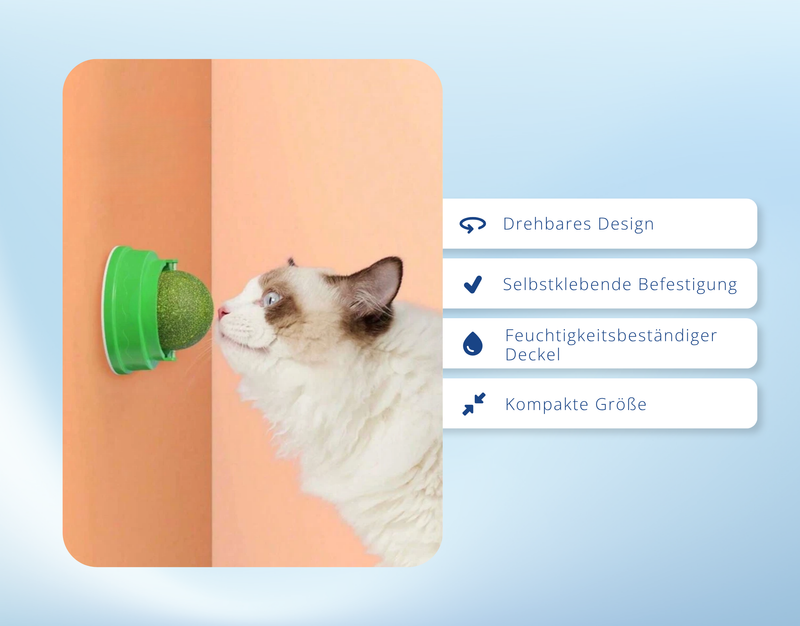 Katzenminze Ball für Katzen – selbstklebender Catnip Leckball Spielzeug